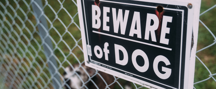 Beware of Dog sign on a landlords property