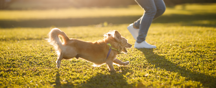 Dog owner in California running with her small dog